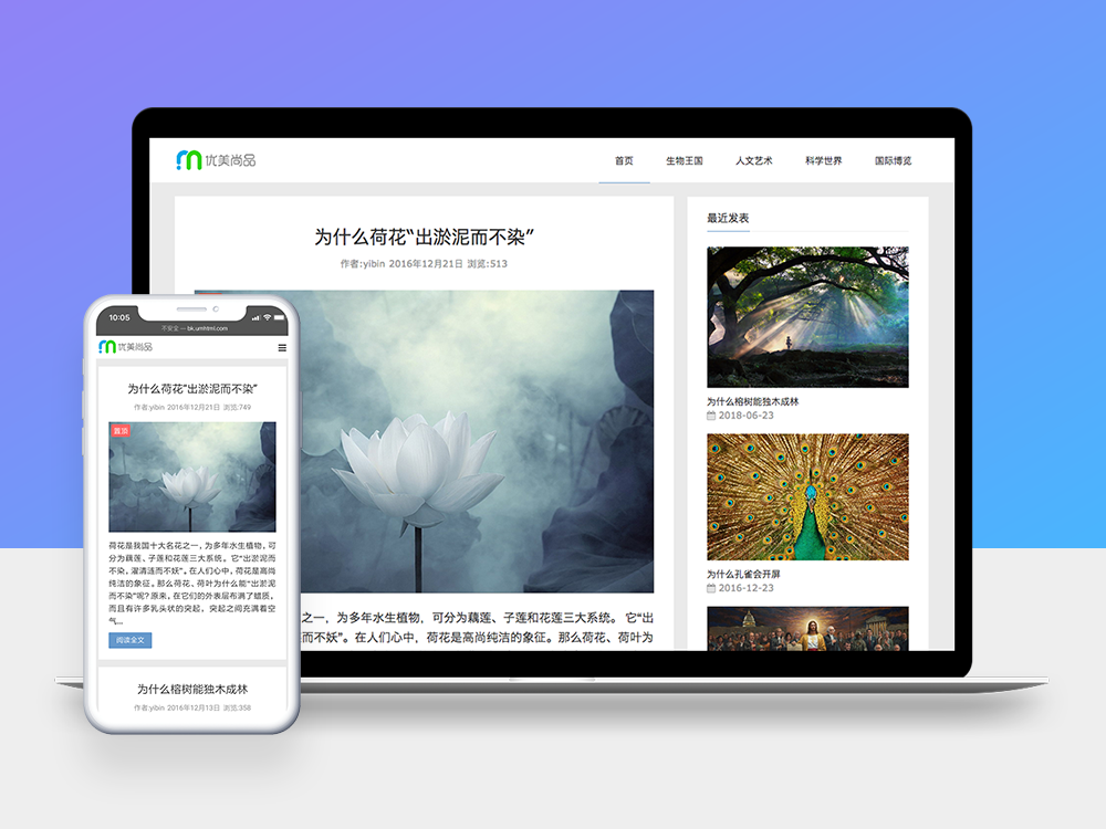 优美简洁版响应式免费主题